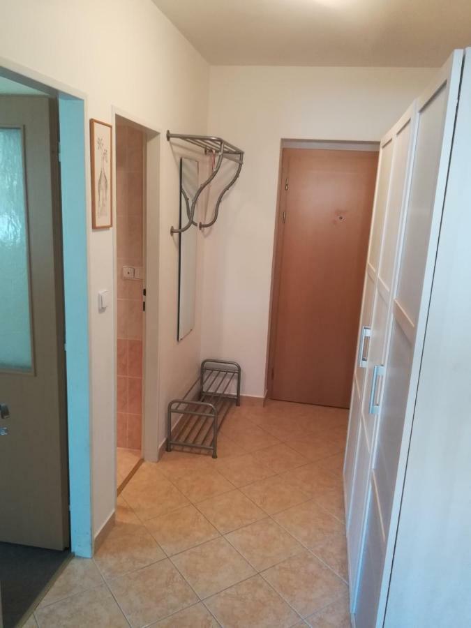 רוקיטניצה נאד איז'רו Apartments Rokytka 308 & 405 מראה חיצוני תמונה