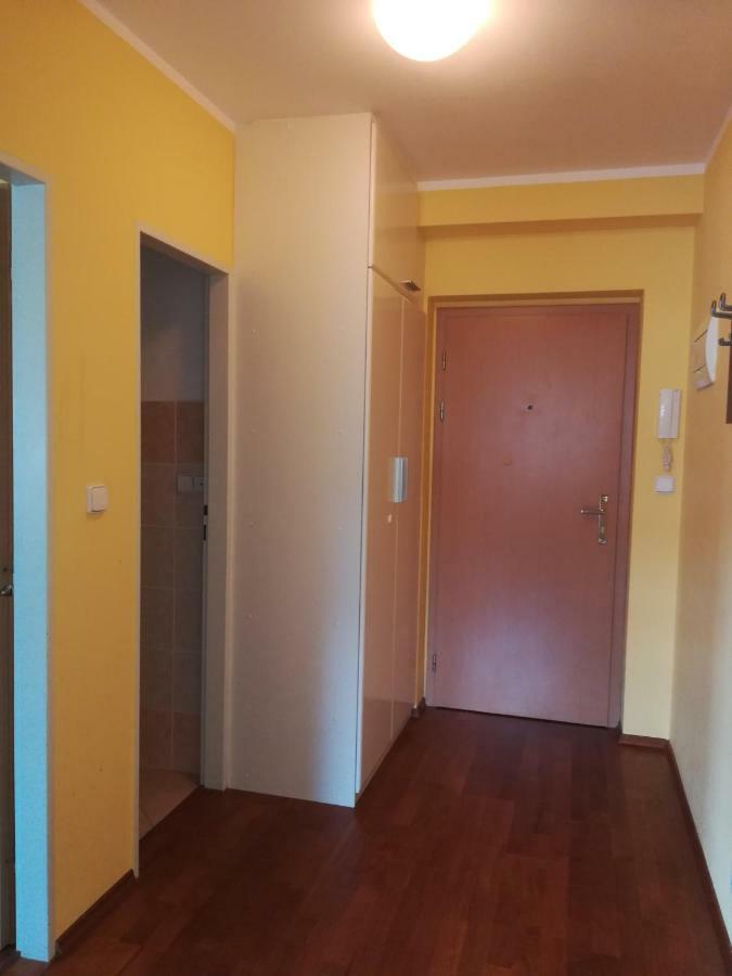 רוקיטניצה נאד איז'רו Apartments Rokytka 308 & 405 מראה חיצוני תמונה
