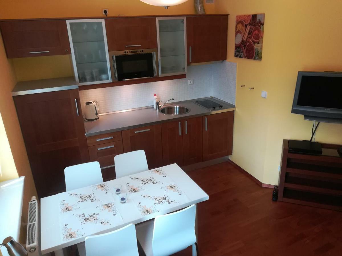 רוקיטניצה נאד איז'רו Apartments Rokytka 308 & 405 מראה חיצוני תמונה